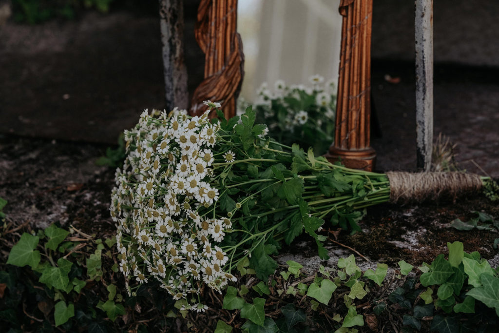 Mariage de Clara & Louis — photo 3